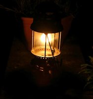 1343944141-IMG_0699b.JPG