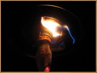 1334139952-IMG_1819.jpg