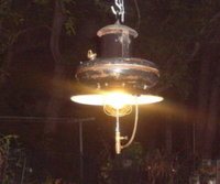 1350613171-S7300349_opt_1_.jpg