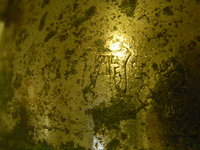1474226087-DSCN1254.JPG