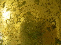 1474226101-DSCN1255.JPG