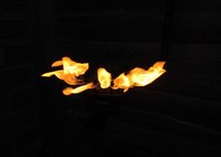 1480077655-IMG_3041.JPG