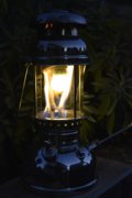 _DSCb985.jpg