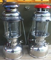 1371329366-pair.jpg