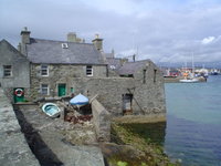 1372782826-LERWICK_TREES_012_opt.jpg