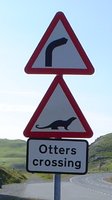 1372966523-SIGN_003.jpg
