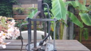 20181005_171221.jpg