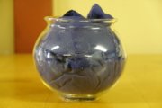 DSC02075.JPG