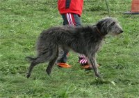 1381176882-Image1.jpg