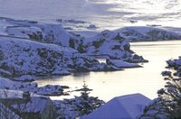1386177760-WHITE_SHETLAND__opt.jpg
