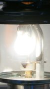 DSC08314.JPG