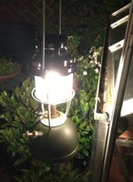 1405289621-Vapalux_with_happy_mantle.JPG