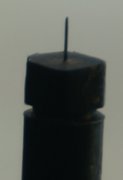 DSC09514.JPG