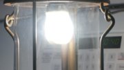 DSC09516.JPG