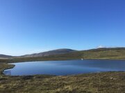 SIRPA SHETLAND PHOTOS 36.jpg