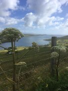 SIRPA SHETLAND PHOTOS 4.jpg