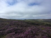 SIRPA'S SHETLAND PHOTOS 52.jpg