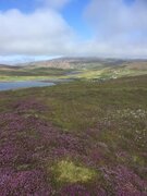 SIRPA'S SHETLAND PHOTOS 57.jpg