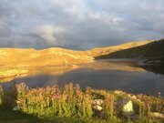 SIRPA'S SHETLAND PHOTOS 84.jpg