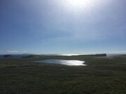 SIRPA'S SHETLAND PHOTOS 102.jpg