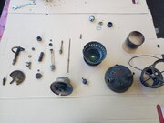 IMG_20200921_140431.jpg