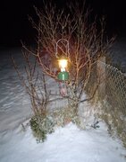 COLEMAN 201 SNOW IMAGE 1.JPG