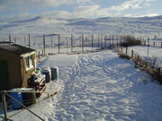 SHETLAND SNOW VIEW 4..JPG