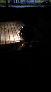 IMG_20210217_213601.jpg